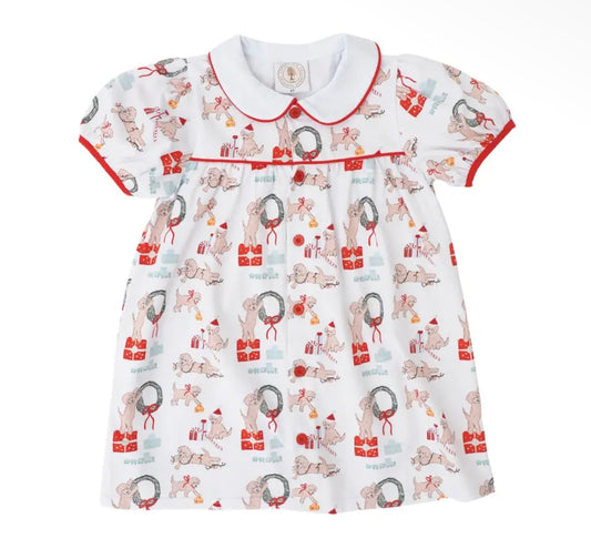 Santa Paws Paisley Proper Dress