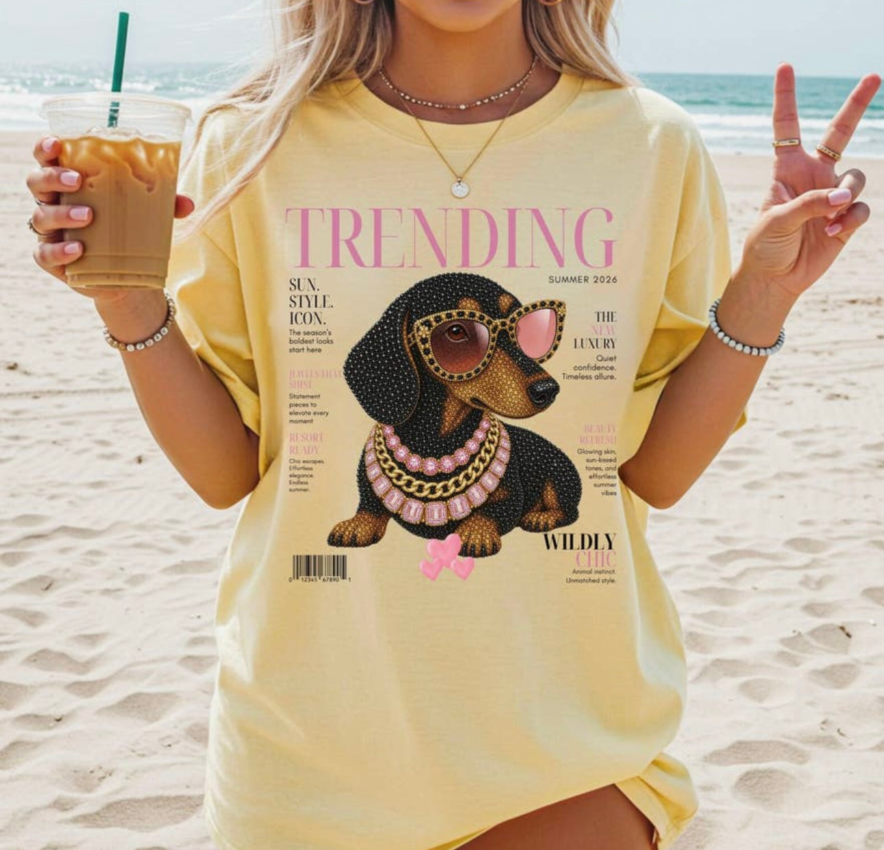 Fun Fashion Dog Tee