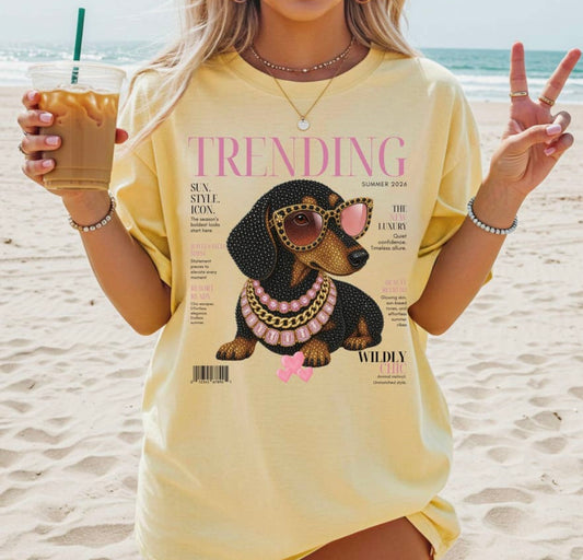 Fun Fashion Dog Tee