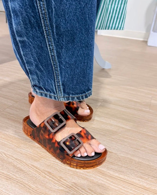 Tortoise Jelly Slides